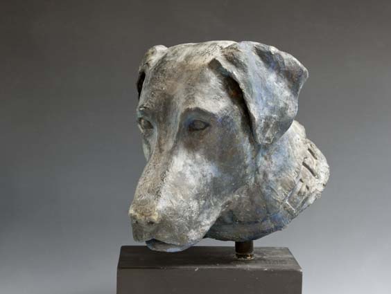 06-dog-benson-1