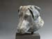 06-dog-benson-1